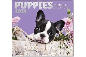 Puppy Full Size Wall Calendar for Planning, Scheduling, and Organizing 2024