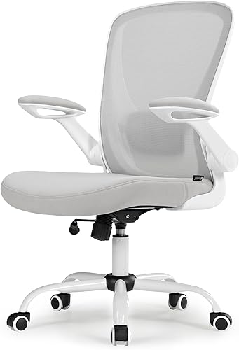 EUREKA ERGONOMIC Silla de oficina ergonómica, cómoda silla de oficina con soporte lumbar, silla de malla transpirable con altura ajustable, sillas