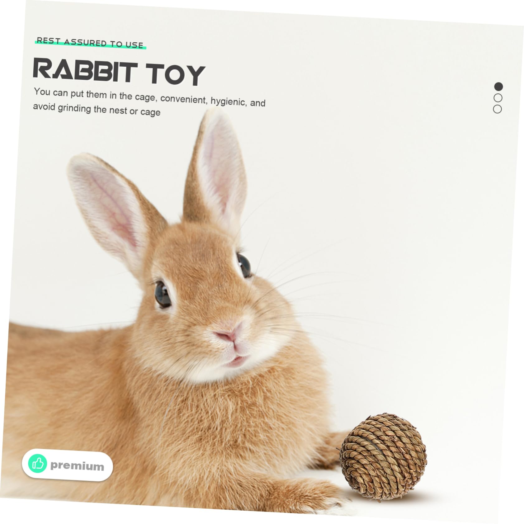 WOONEKY 1juego Juguetes para Conejos y Roedores Cama De Natural y Zanahorias para Hámsters y Chinchillas