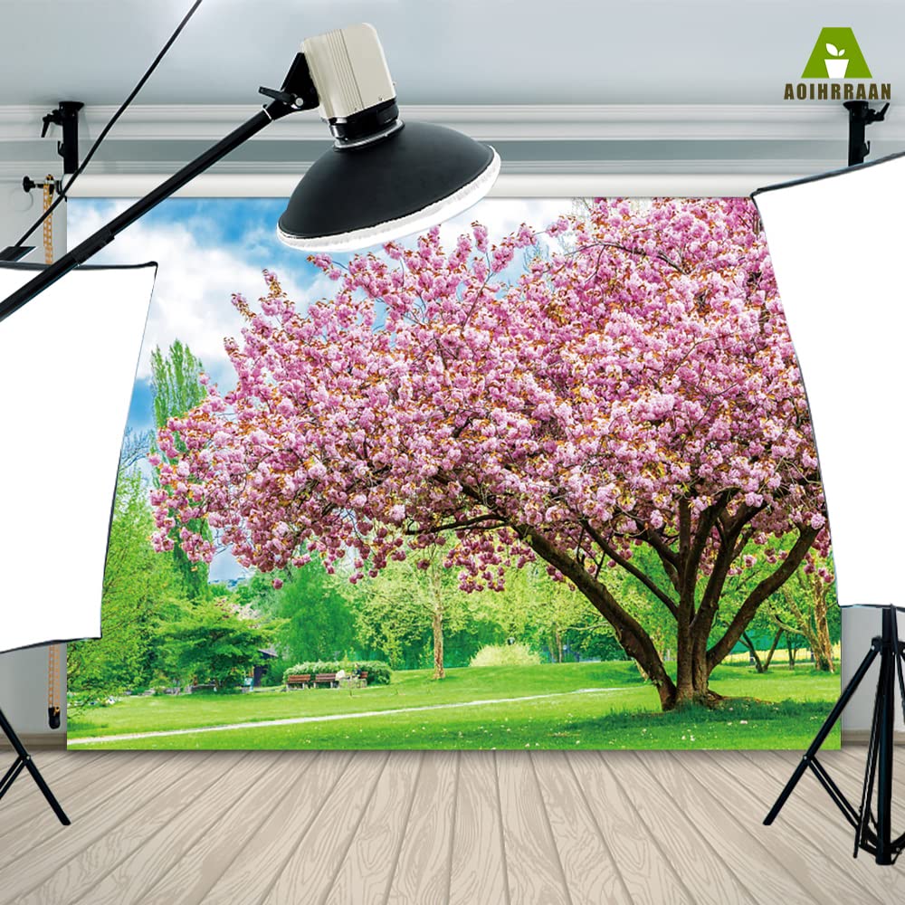 Aoihrraan 3x2m Nature Paysage Toile De Fond Printemps Cerise Fleur Arbres Pelouse Verte Gazon Ensoleillement Paysage Photographie Mariage Fête Mère Femme Dame Filles Portrait Studio Photo Vinyle