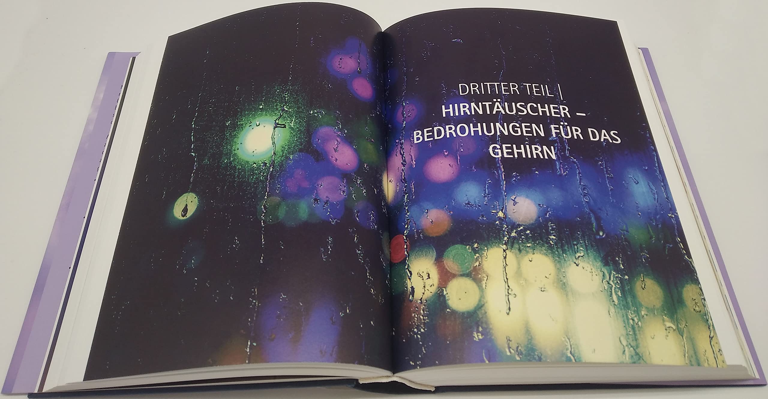 Heile dein Gehirn - Das Basisbuch: Die Wahrheit über Angstzustände, Depression, Long Covid, chronische Erschöpfung, Alzheimer und Demenz - Schutz und Heilung für unser wichtigstes Organ
