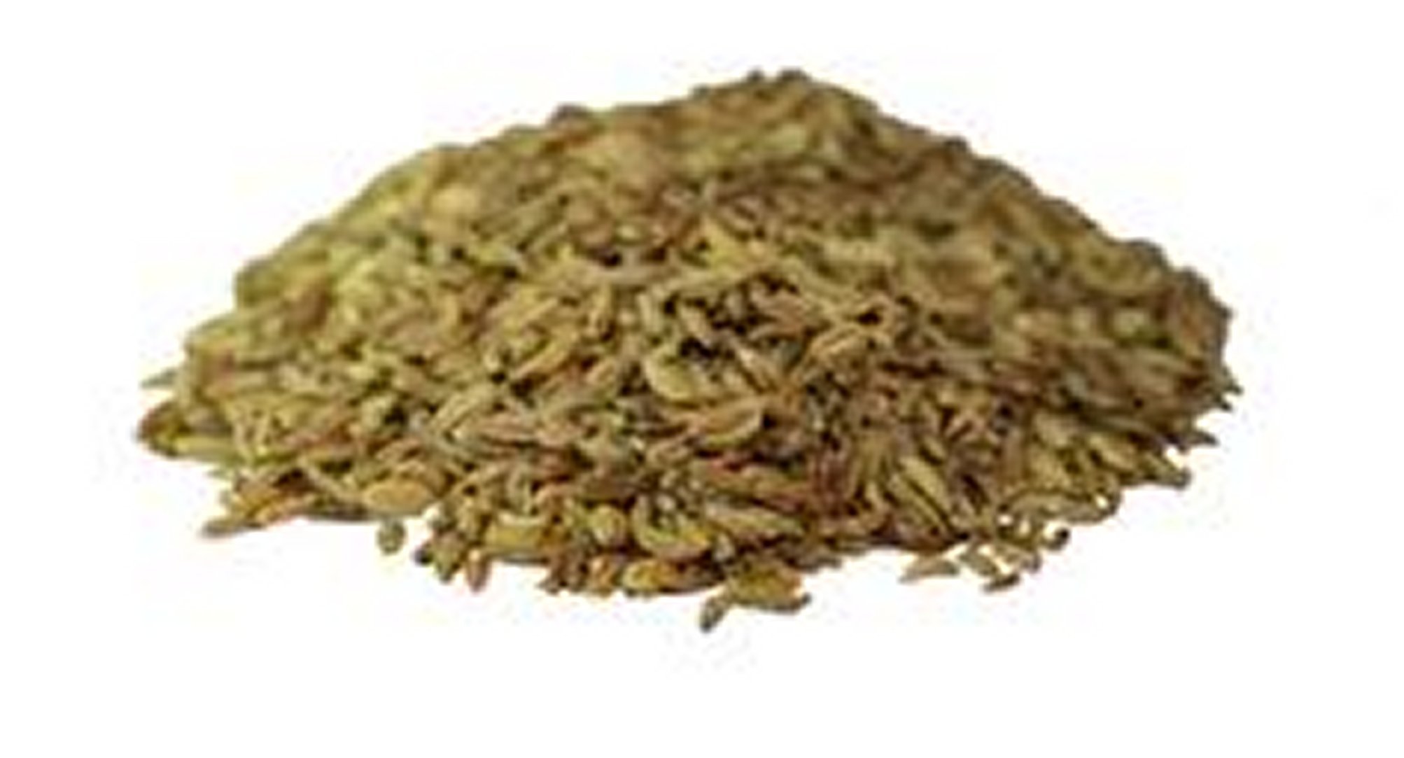 Fennel Whole Dried Seeds 100g from The Spiceworks - Hereford Herbs & Spices