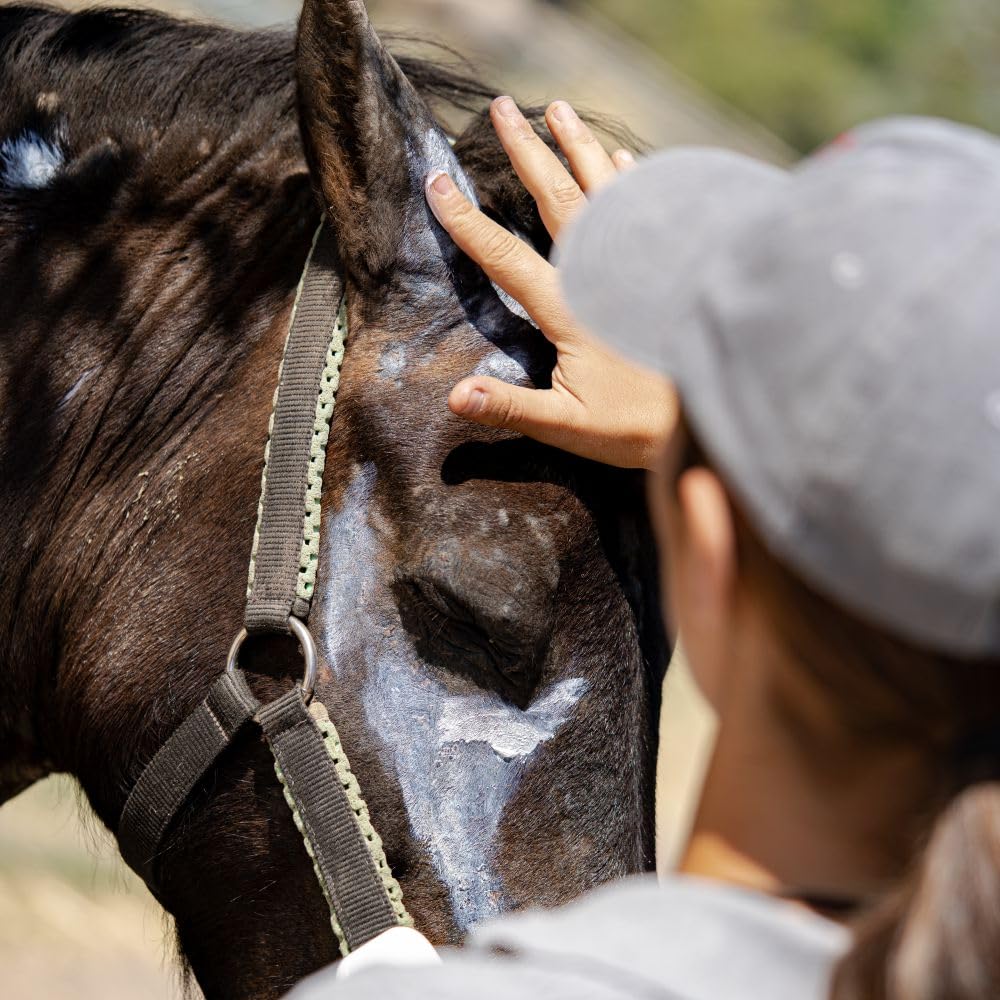 Maktuk Horses | Naturalny przeciwświądowy, regenerujący balsam na włosia i ogona, szybkie łagodzenie swędzenia i podrażnienia | Pomoc w regeneracji włosów