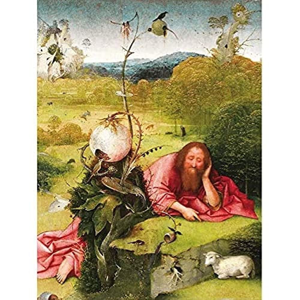 Hieronymus Bosch Saint John The Baptist In The Desert Art Print Canvas Premium Wall Decor Poster Mural