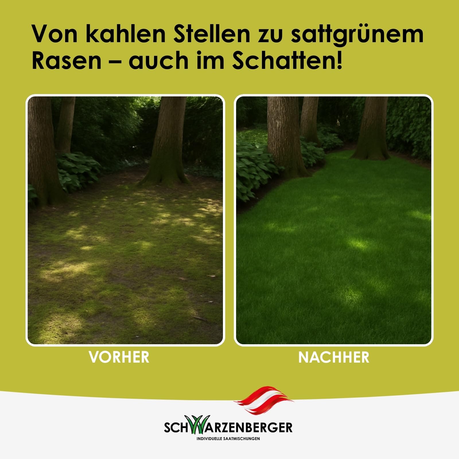 Samen Schwarzenberger I Poa Supina Rasensamen I 1 kg für 200 m² I 50% Poa Supina Anteil I dichter Rasen ohne Moos I schattenverträglich & tiefschnittverträglich I Schattenrasen