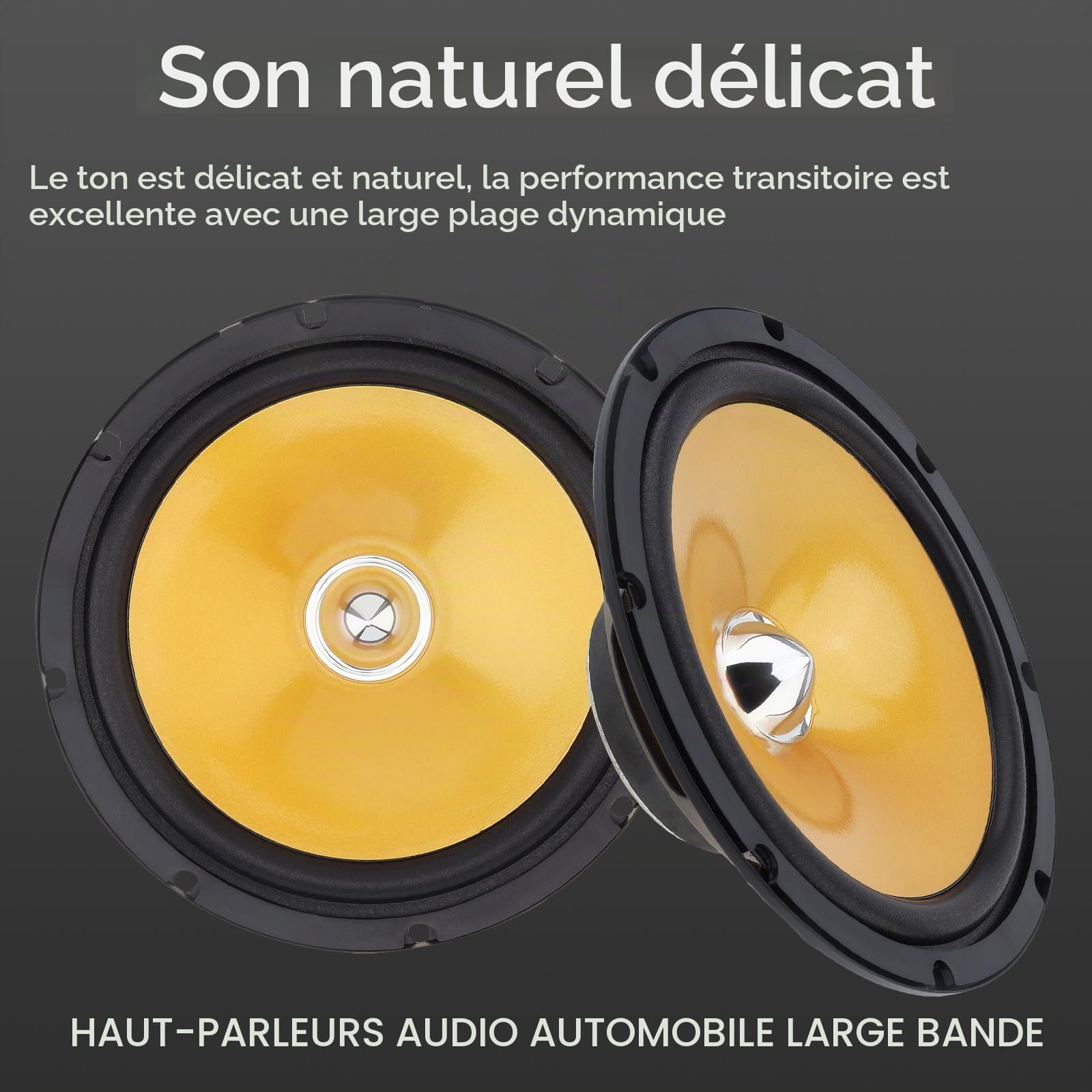 Lot de 2 Haut-parleurs Coaxiaux Stéréo HiFi pour Voiture, 6,5 Pouces, 280 W, 2 Voies, Gamme Complète, avec Couvercle