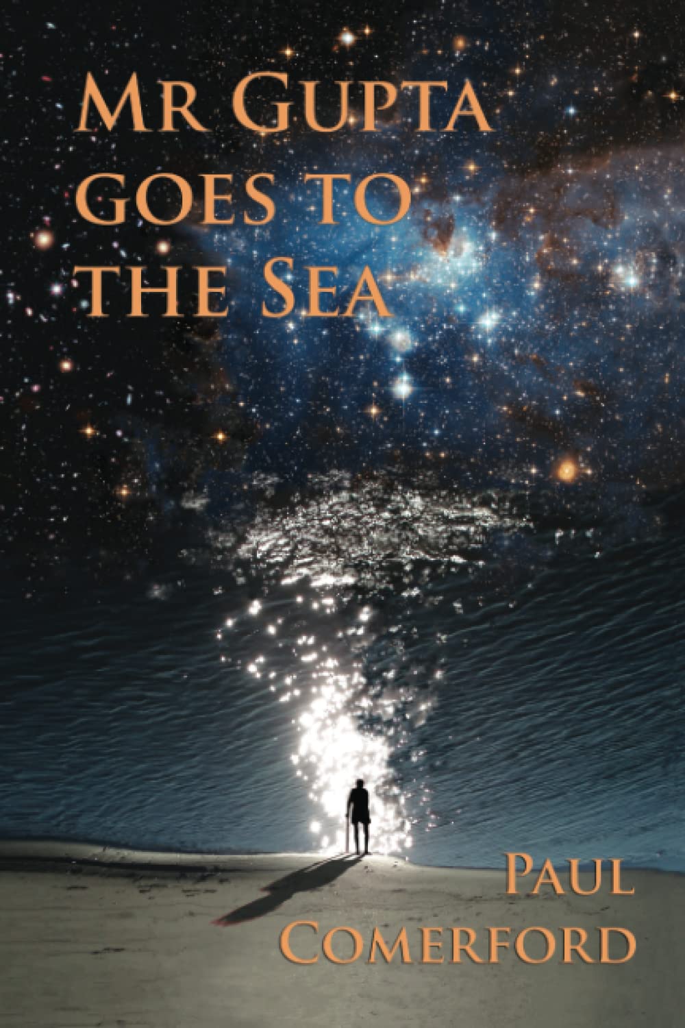 Mr Gupta goes to the Sea: A story of hope rising from despair; a tale of gentleness overcoming the horrors of life. An interweaving of violence with passivity, and brutal enlightenment.