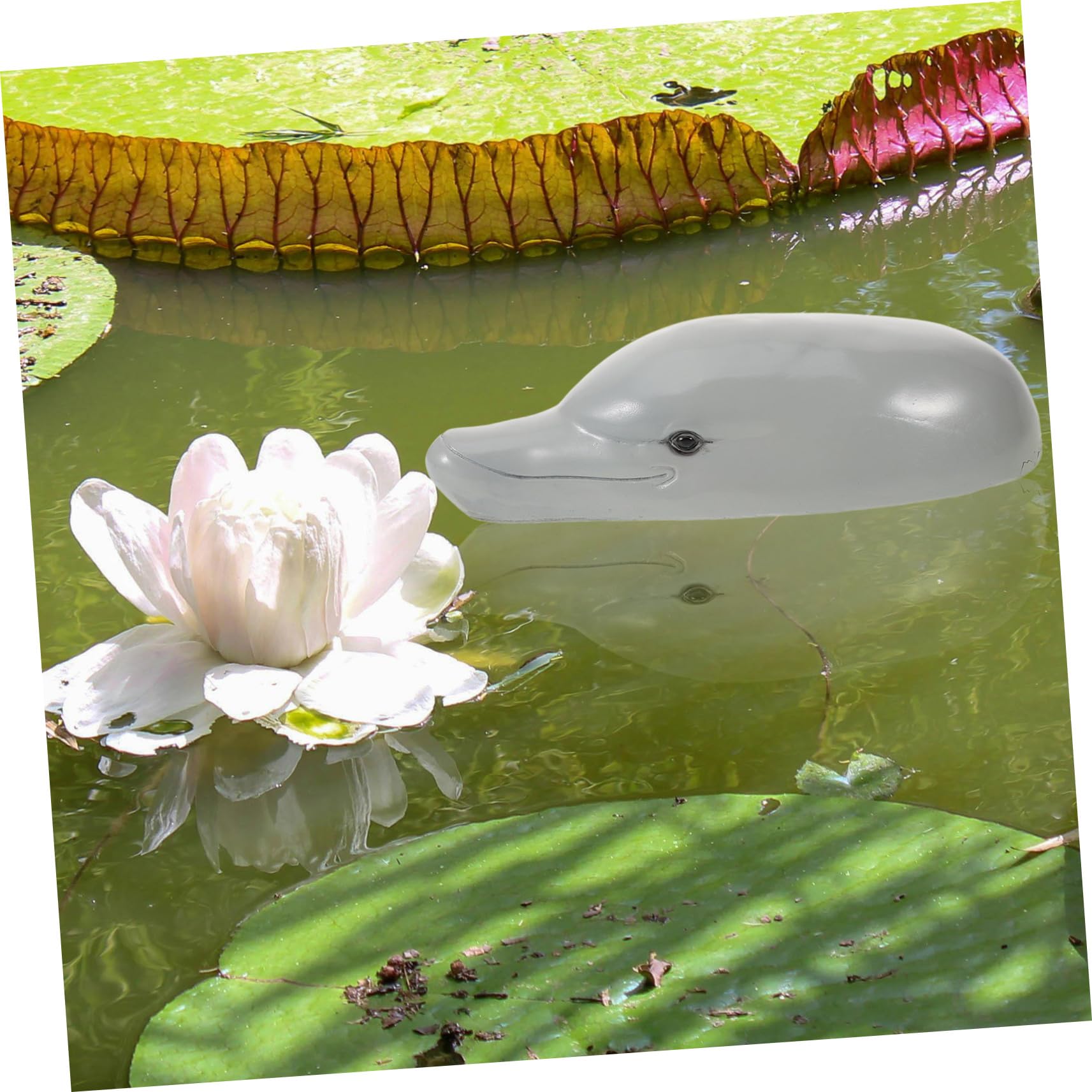 ibasenice Decorazione Per Acquario Forma Decorazione Da Simulata in Per Acquario Accessorio Da Statuetta Animale