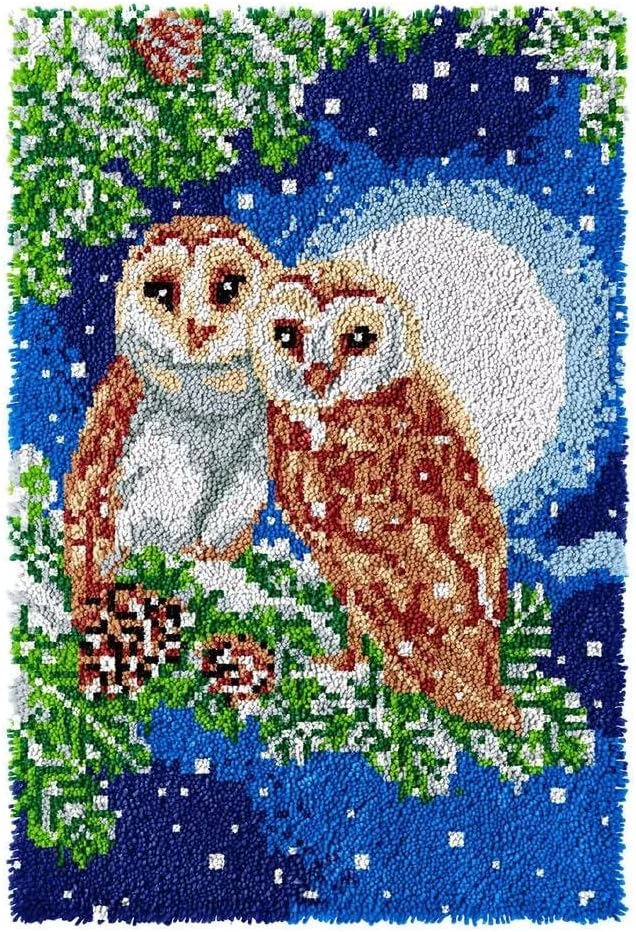 Latch Hook Rug Kits, DIY Latch Hook Rug, Home Carpet Rug Making Canvas Kits, DIY Crochet Kits Embroidery Kits Needlework Crafts for Home Decor, Latch Hook Kits for Beginners Kids Adults, 60 X 40 cm