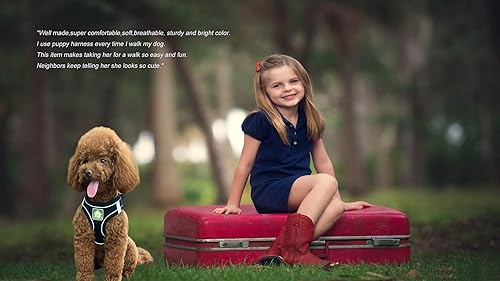 Miniatura 2 de Juego de arnés y correa para perro pequeño sin tirones, arnés a prueba de escape, chaleco de malla transpirable, arnés reflectante ajustable para