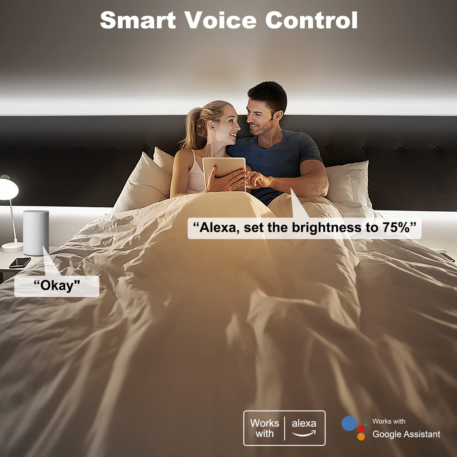 Tatazone Striscia LED COB WiFi da 5 m, 6500 K, con app e telecomando, compatibile con Alexa e Google, dimmerabile, luce bianca fredda, per interni, per scale, cucina, armadio