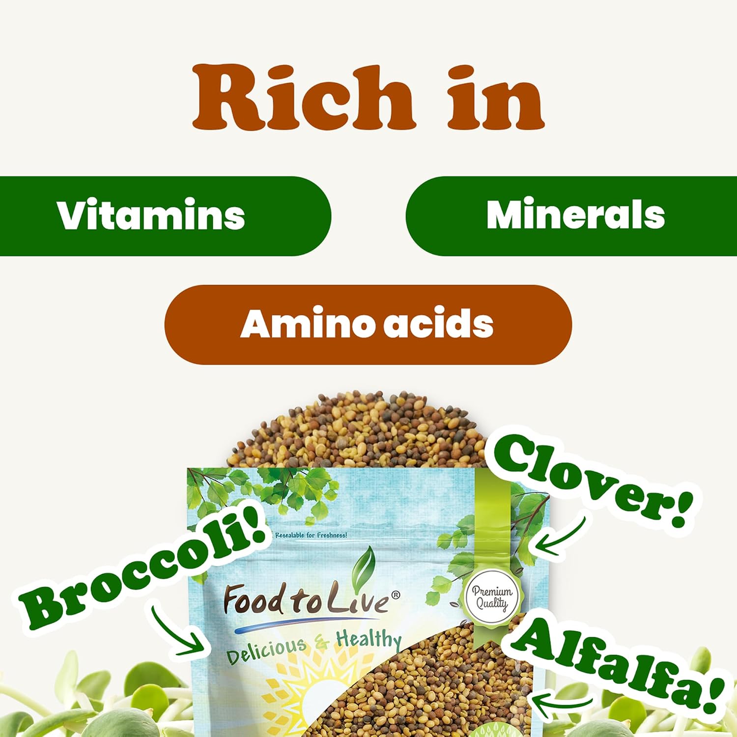 Food to Live - Antioxidant Mix of Sprouting Seeds, 3 Pounds — Broccoli, Clover, Alfalfa, Kosher, Raw, Vegan