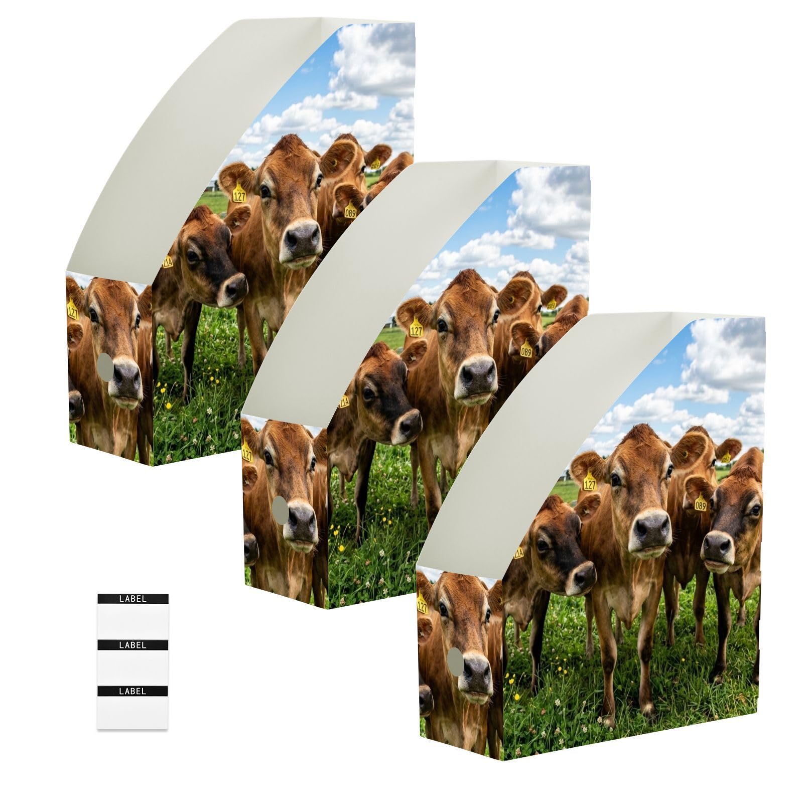 Organiseur de papier de bureau Cool Cow Blue