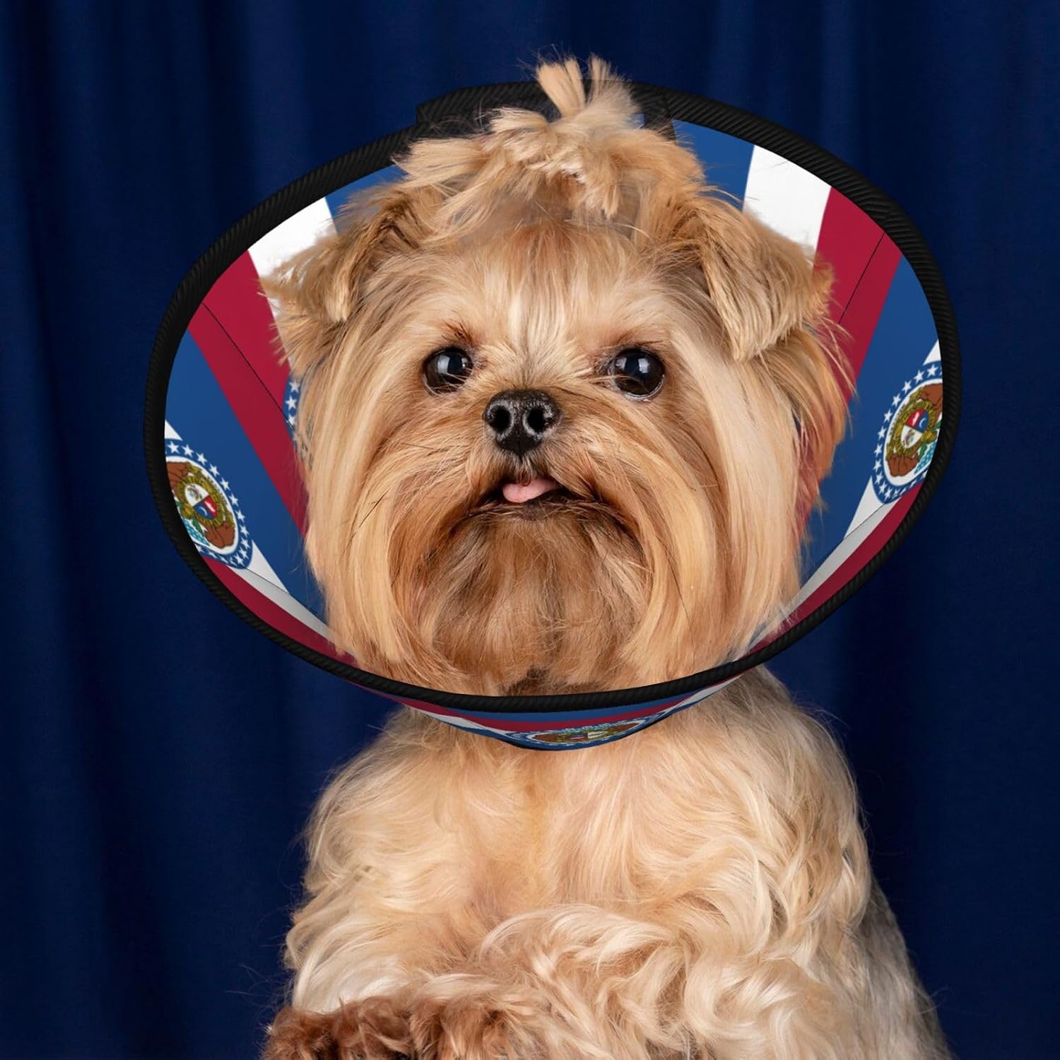 Missouri State Flag Print Cat Cone Collar, Adjustable Elizabethan Collar, Soft Dog Recovery Collars, for Small Large Cats