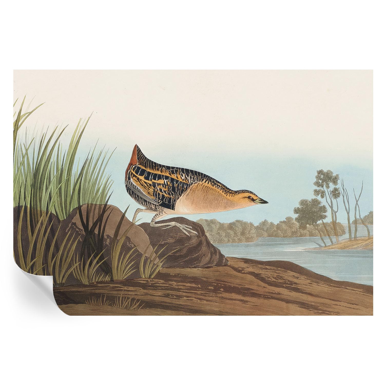 Vinilos decorativos de escena natural y papel pintado adhesivo de 152x104 cm para hogar