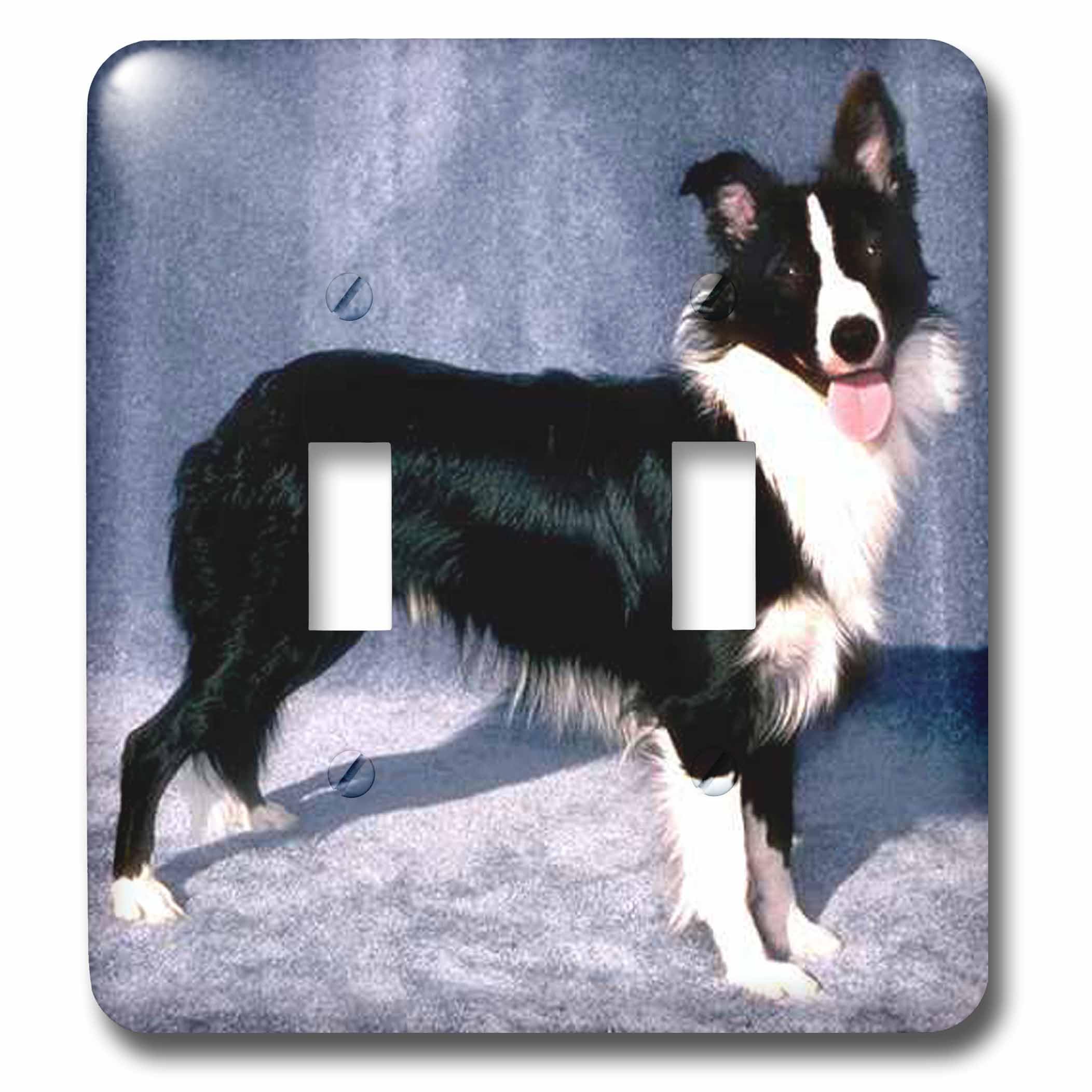 Double interrupteur à bascule 3dRose lsp_1245_2 Border Collie plaque murale décorative