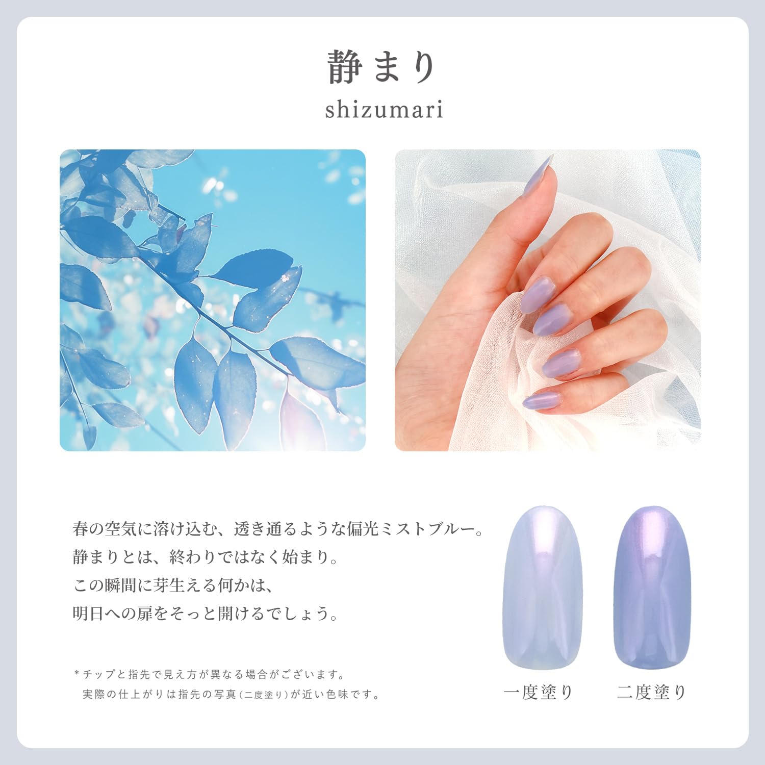 Amazon.co.jp: shobido 粧美堂 ジェリーバイ デコラティブネイル