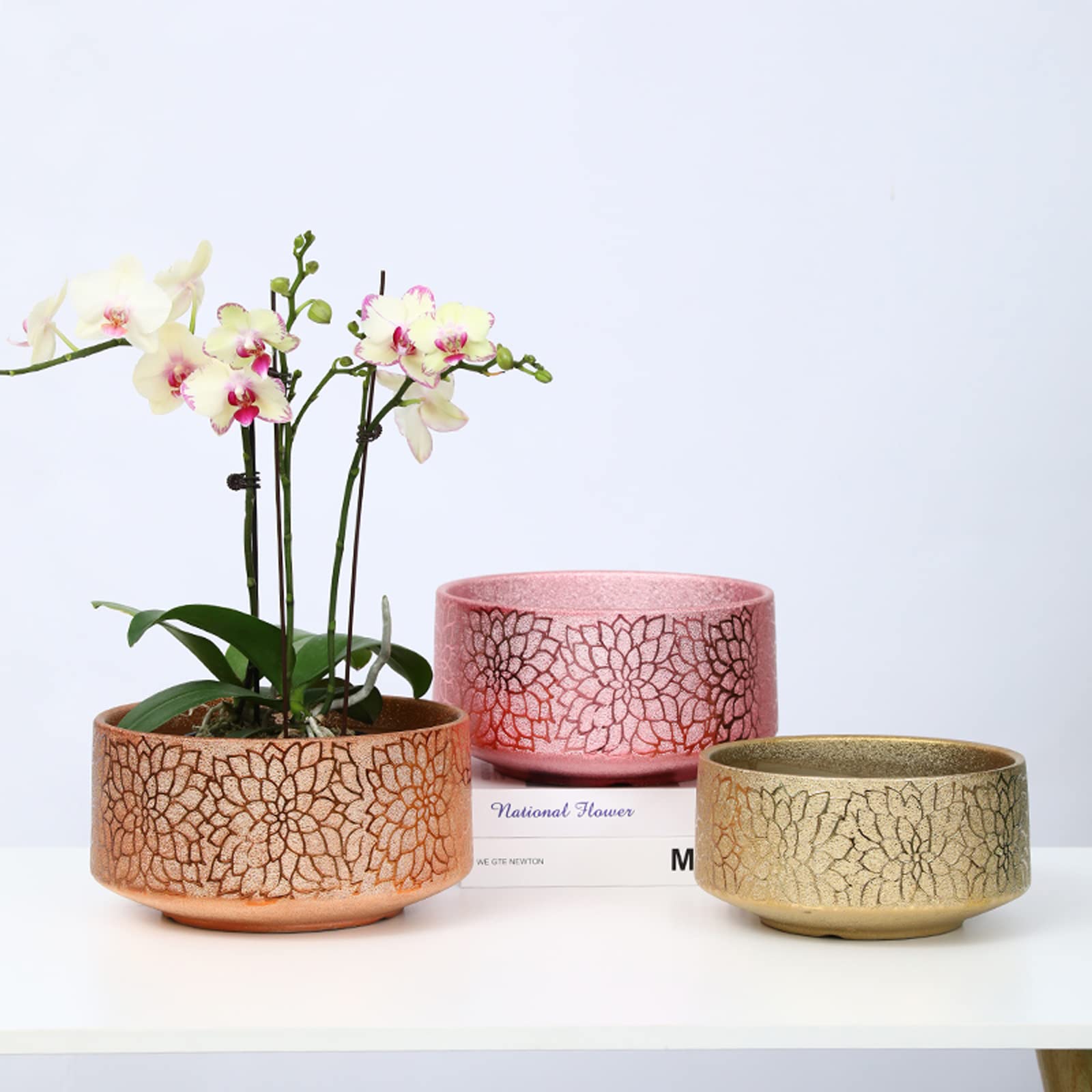 Vasi da Giardino Vaso Phalaenopsis di Lusso in Ceramica Leggera, Vaso da Fiori in Stile Cinese con Foro di drenaggio e Vassoio in plastica per la Decorazione Domestica