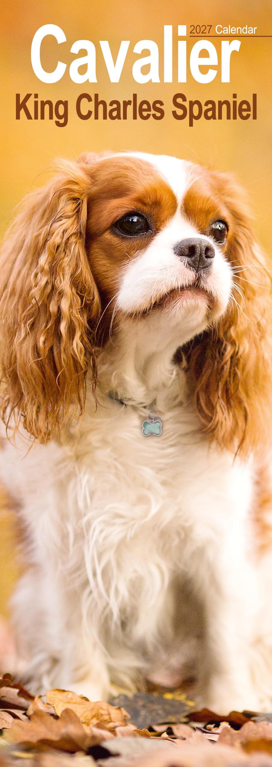 Cavalier King Charles Spaniel Slim Calendar 2027, Wall Calendars, Gift