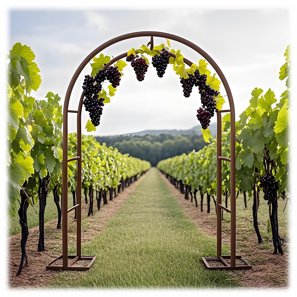 Treillis en acier pour plantes grimpantes pergola métal bronze