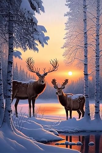 Miniatura 9 de Kits de pintura de diamantes Aurora Starry Sky Snow  Principiantes redondo completo 5D hecho a mano pintura de paisaje, cabina de oso polar para