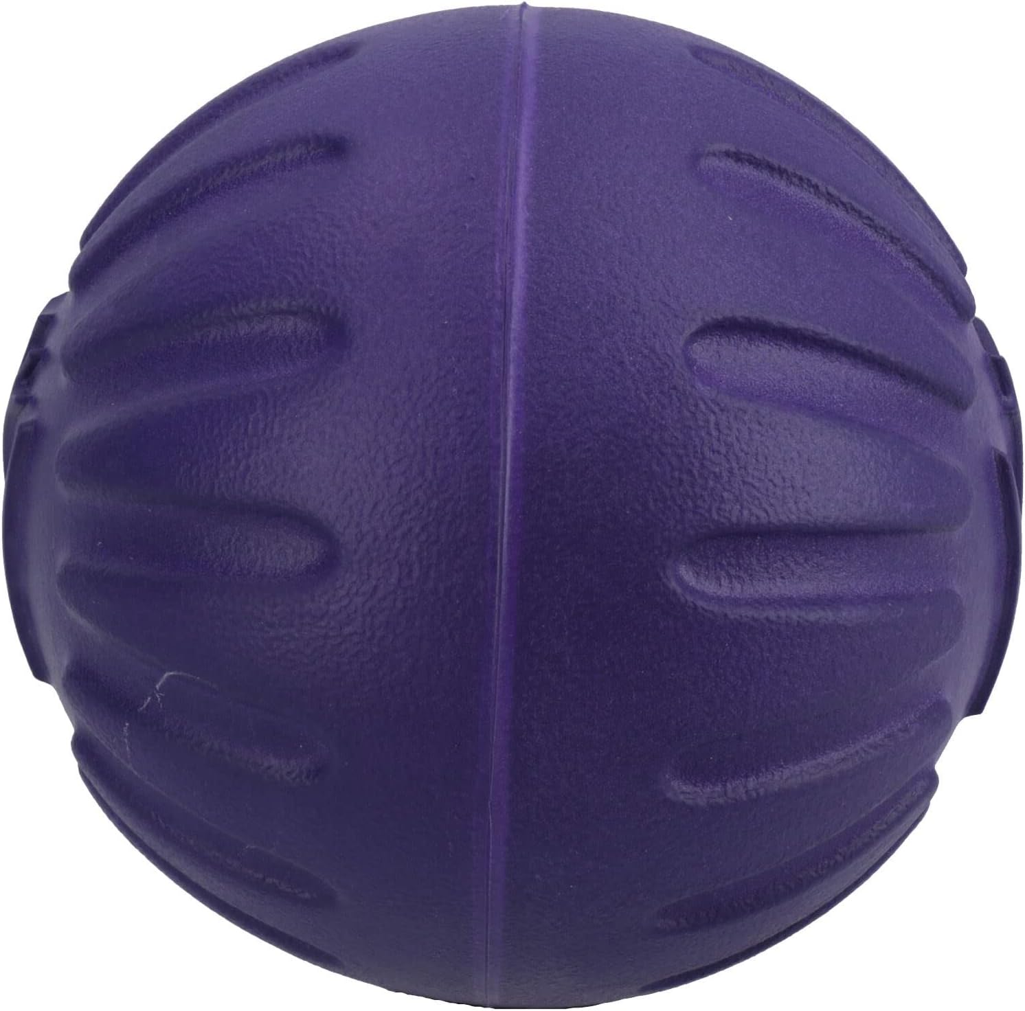 AB Tools Large Interactive Play Durafoam Dog Puppy Ball Floating Toy-Assorted Colour
