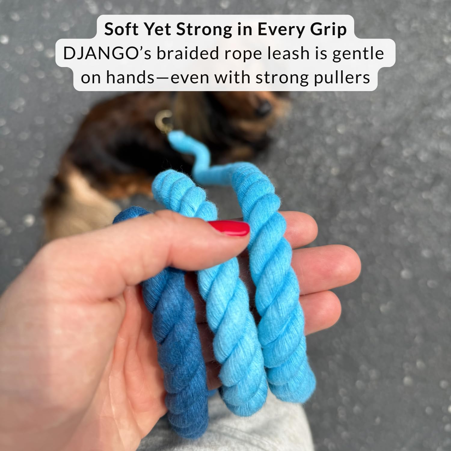 DJANGO Cotton Rope Dog Leash 5ft – Handcrafted Dog Leash and Blue Ombre Braided Leash for Small, Medium, Large Dogs – Durable 5 Foot Training Lead with Gold Hardware and Whipped Ends – Pacific Blue
