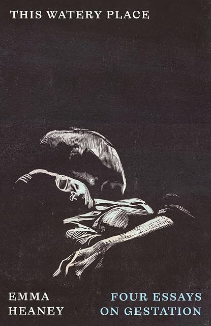 Portada de This Watery Place: Four Essays on Gestation