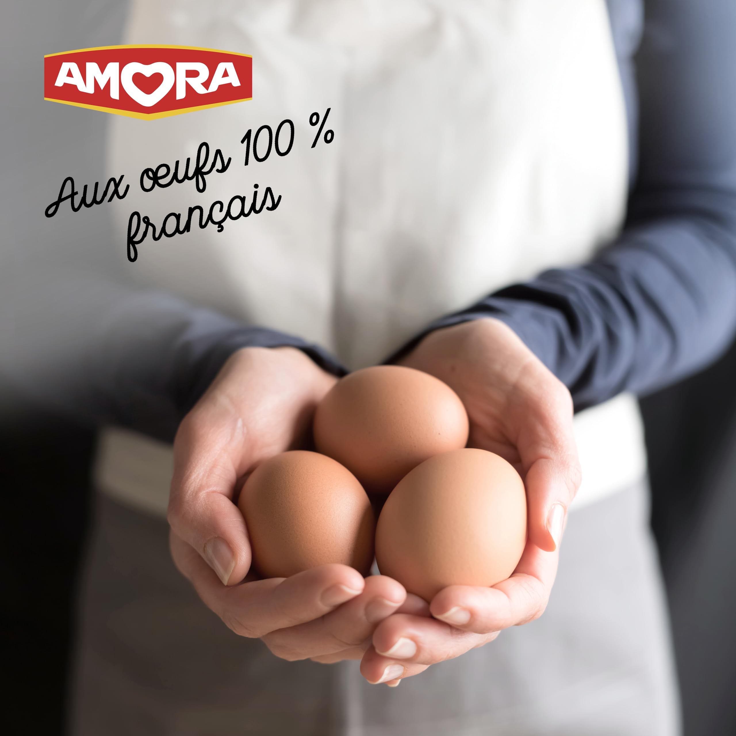Amora Mayonnaise De Dijon Jar 235g : Amazon.fr: Grocery