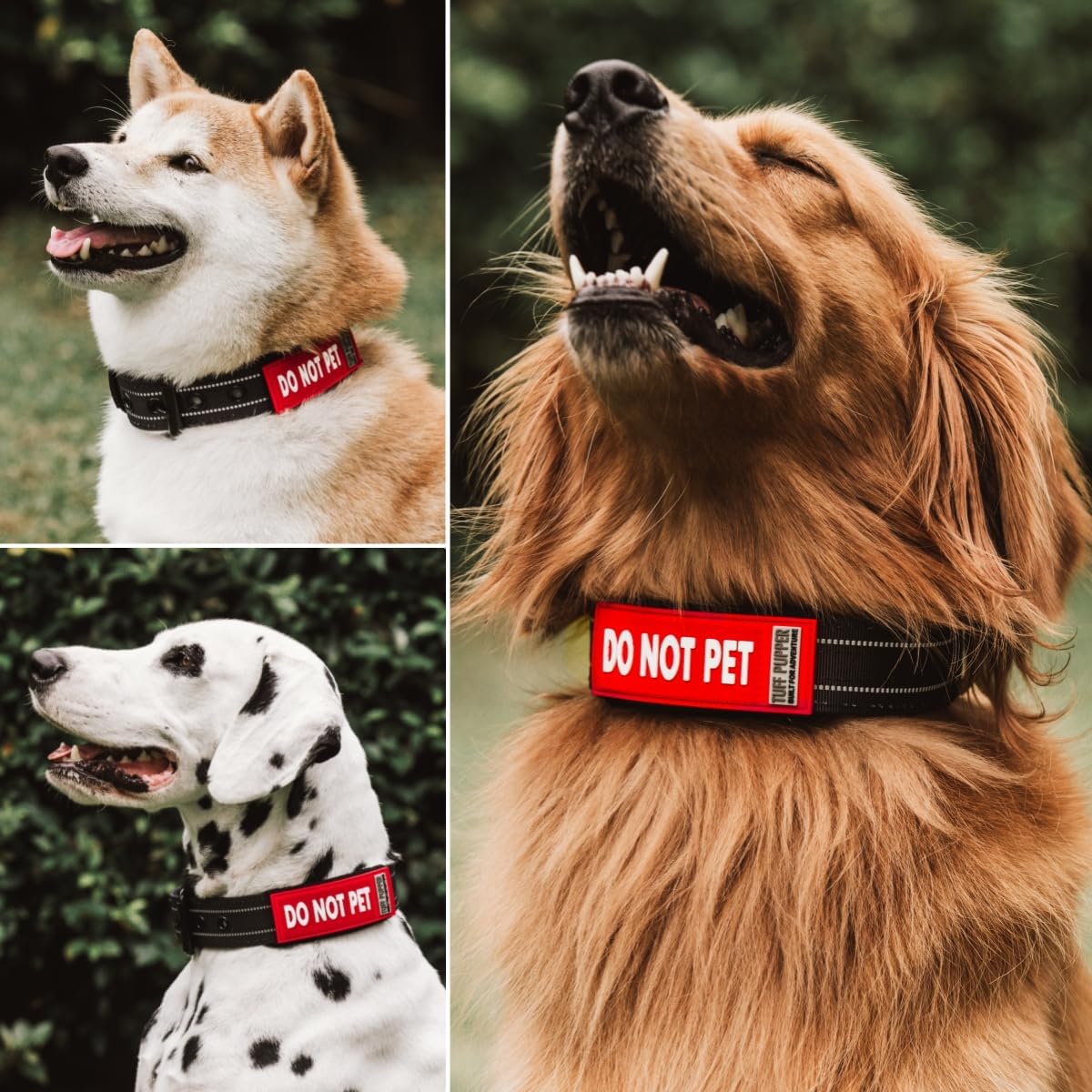 Waterproof Dog Collar Sleeve, Do Not Pet Message Wrap, Small, 2-Pack image 3