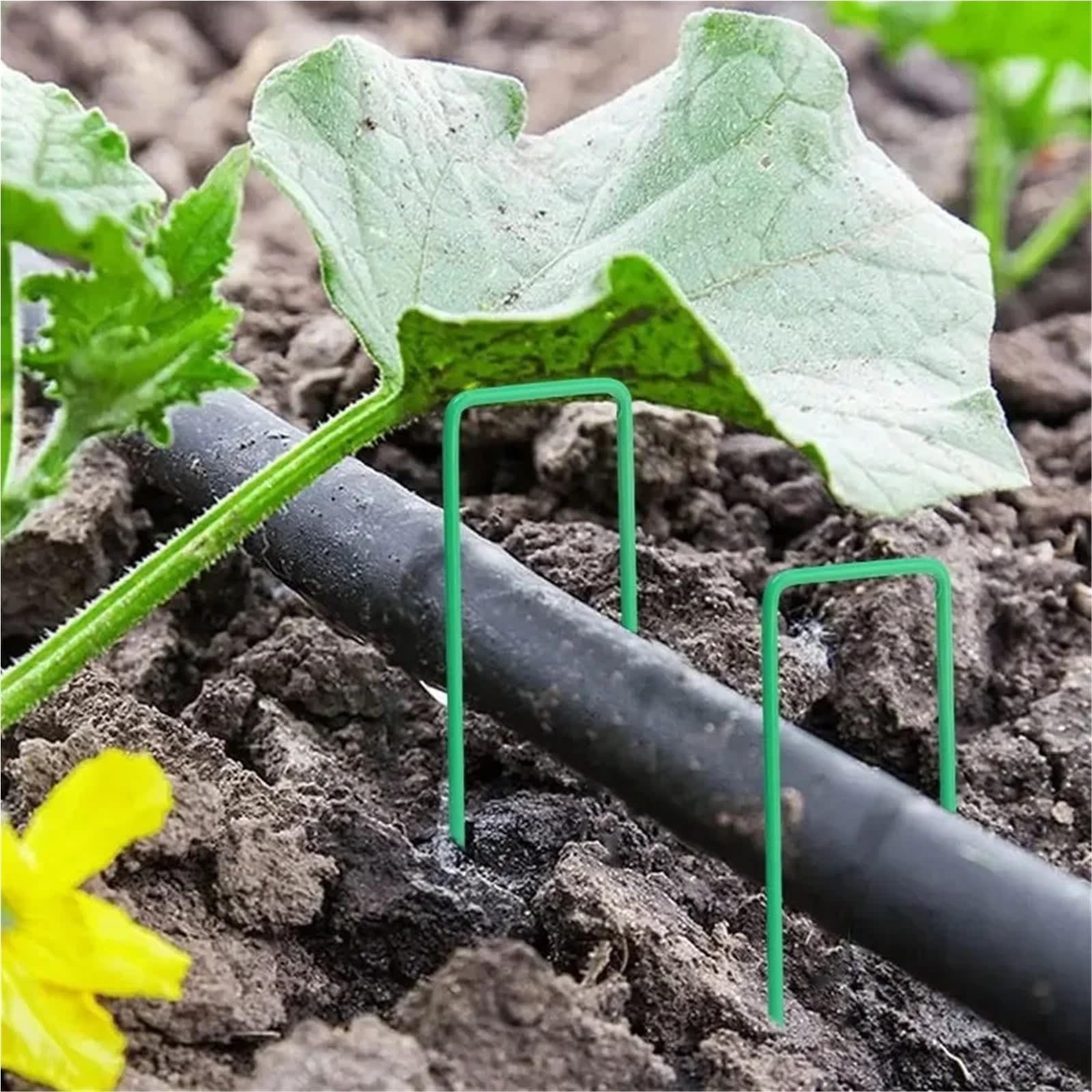 Picchetti Da Giardino 100/10 pezzi graffette da giardino tipo U tubi for recinzione pesanti paletti for zolle erbose zincato paesaggio picco con prati chiodi a terra(Black-15X4X0.3CM,50PCS)