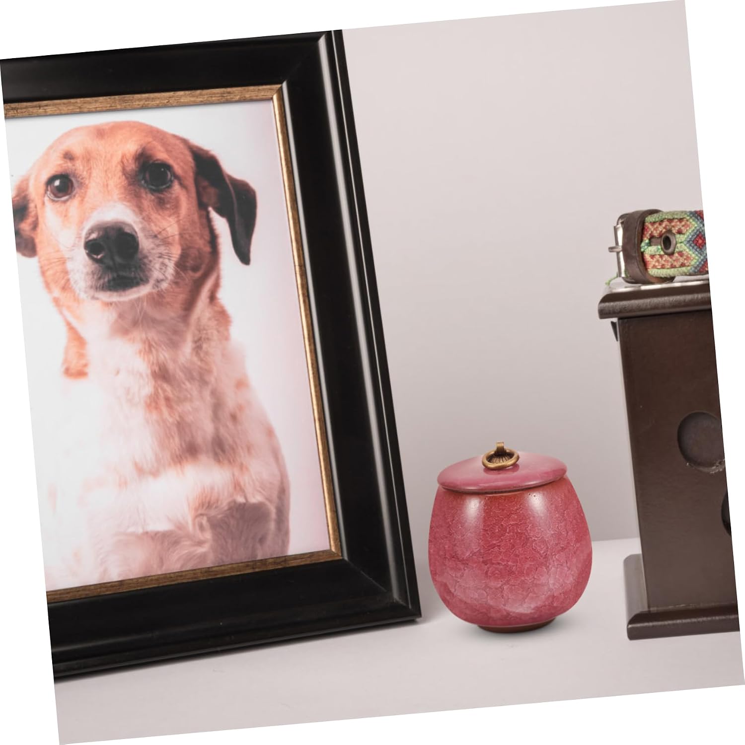 SUPVOX Ceramic Pet Urn for Dog Cat Ashes Memorial Keepsake Cremation Urn with Lid Portable Design for Easy Carrying for Pet Loss Remembrance