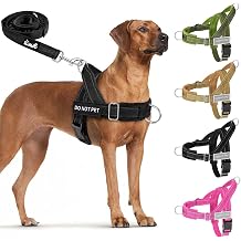 Lukovee No Pull Dog Harness and Leash Set, Soft Padded, with 5ft Leash, XL