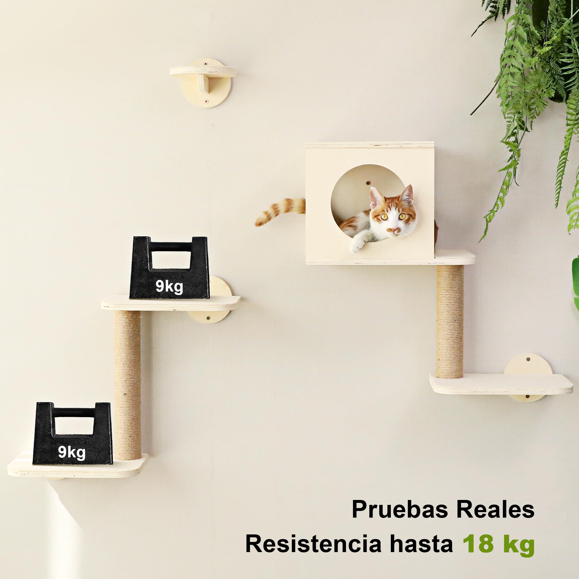 FUKUMARU Estantes de pared para gatos, juego de muebles de pared de madera estable, 5 piezas, escalador de gatitos con hamaca, casa, escalones, poste rascador, beige