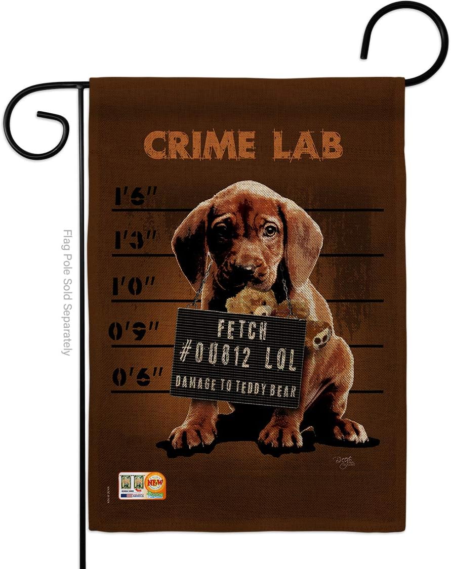 Crime Lab Burlap Garden Flag Animals Dog Puppy Spoiled Paw Canine Fur Pet Nature Farm Animal Creature Small Decorative Gift Yard House Banner Double-Sided Made In USA 13 X 18.5
