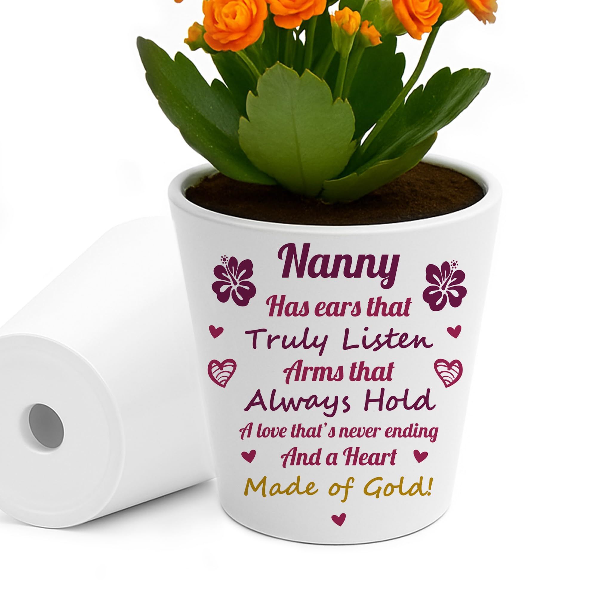 RED OCEAN Nanny Gifts Nanny Birthday Gifts Best Ever Plant Pot For from Grandchildren Unique Garden Gift Ideas for on Birthday Mothers Day Christmas