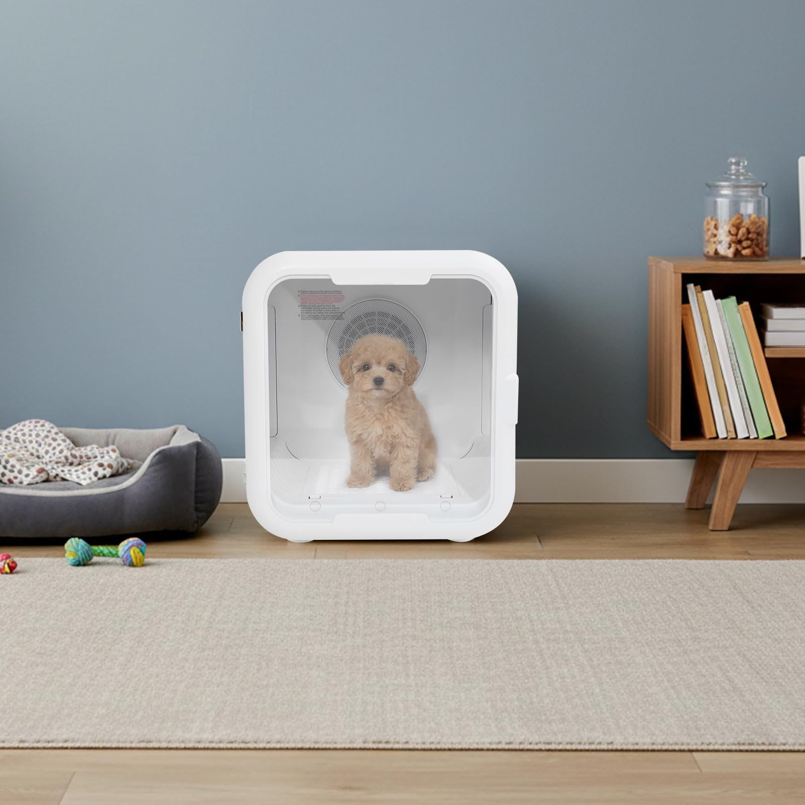 Asciugatrice automatica per animali domestici, 800 W, 22-45 °C, timer 10