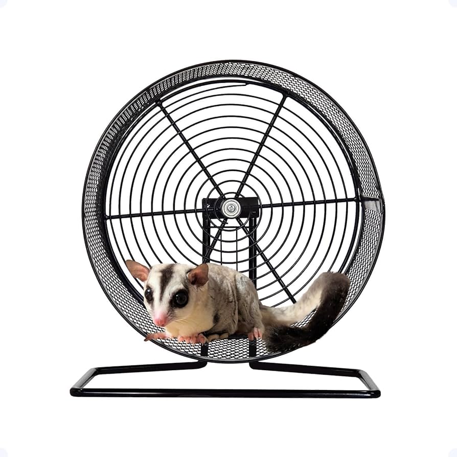 Amazon.co.jp: 回し車 サイレントホイール フレームレス 【 メタル Amazon.co.jp: 回し車 サイレントホイール フレームレス 【 メタル