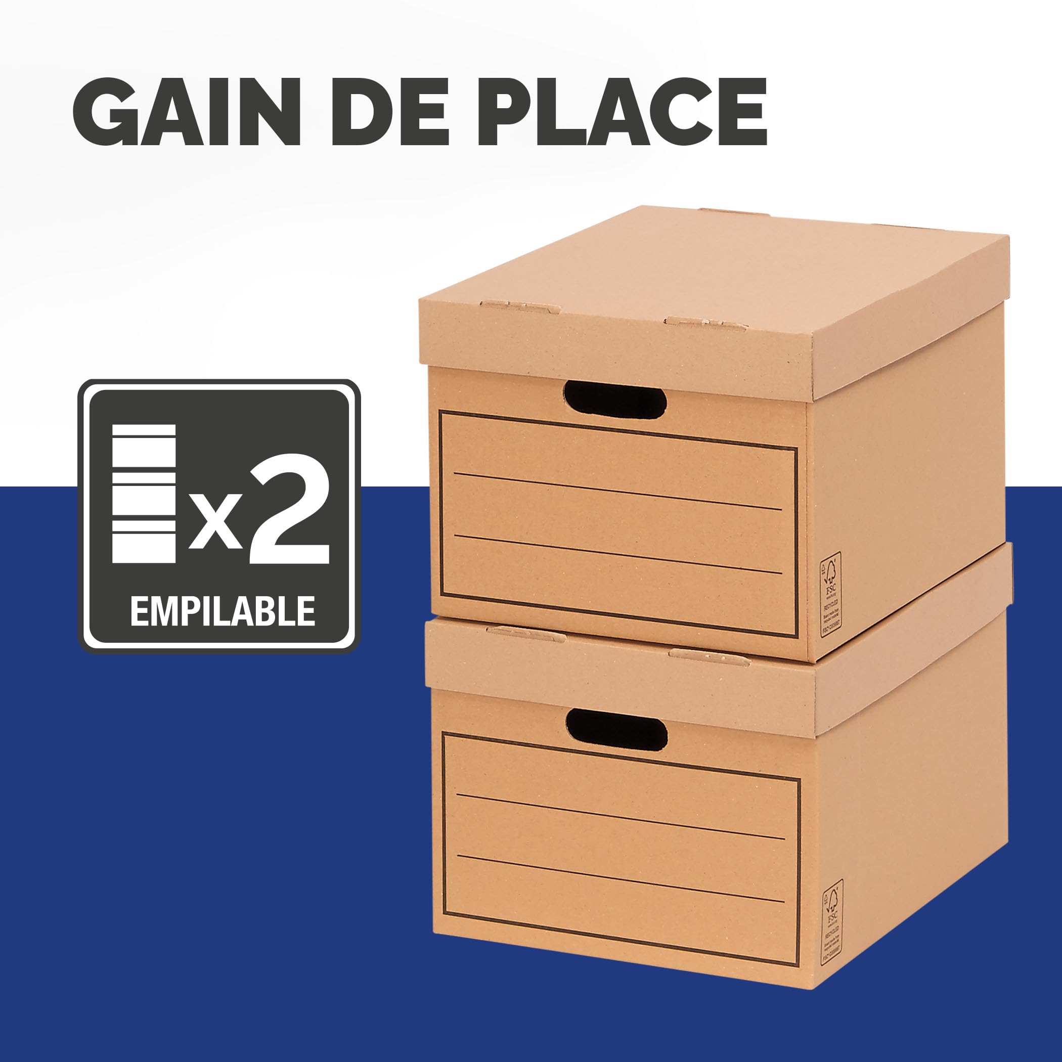Fellowes - Boîte de rangement - Range Document - Multi-usage - Coloris Marron - 10 Unités