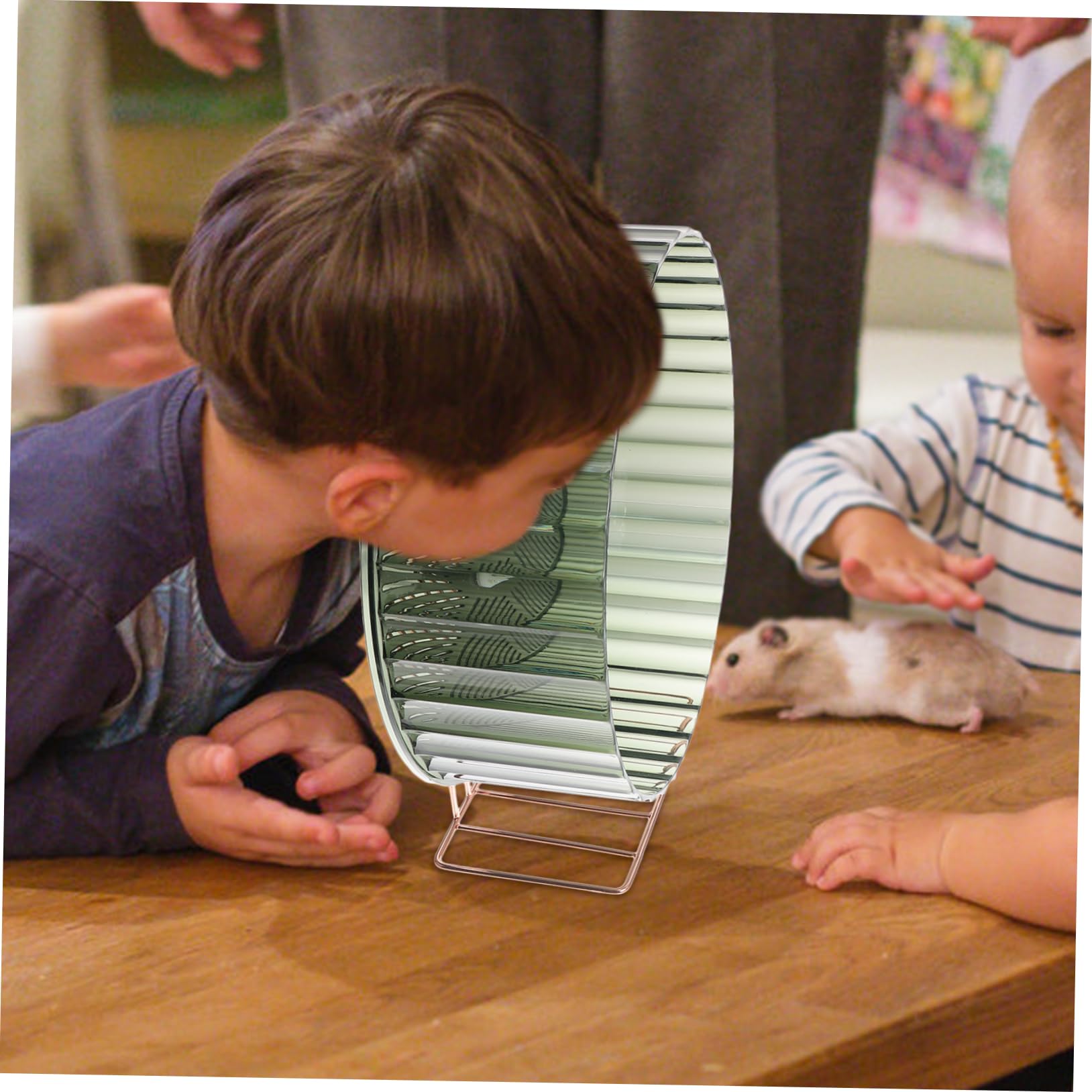 YARNOW Roue Exercise pour Hamster Roue Silencieuse pour Chinchilla pour Rat pour Cage