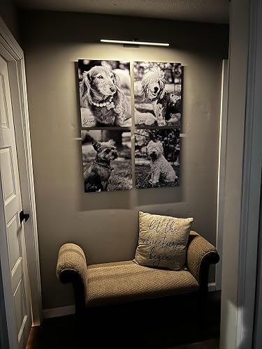 Review Image by Dalton Hunt