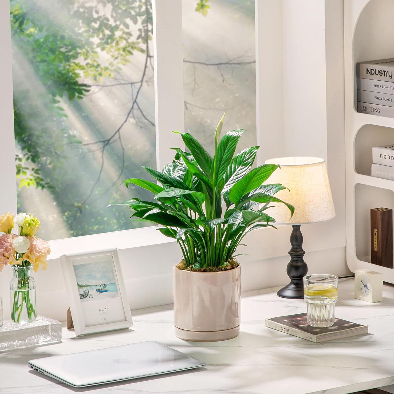 vancasso Ceramic Plant Pots, 3 Piece Planters for Indoor Plants, 4.25+5.25+6.25 Inch Flower Pots with Drainage, Plant Pots Indoor for Succulent, Pothos, Snake Plant and Money Tree, Etc (Gray) - Image 9