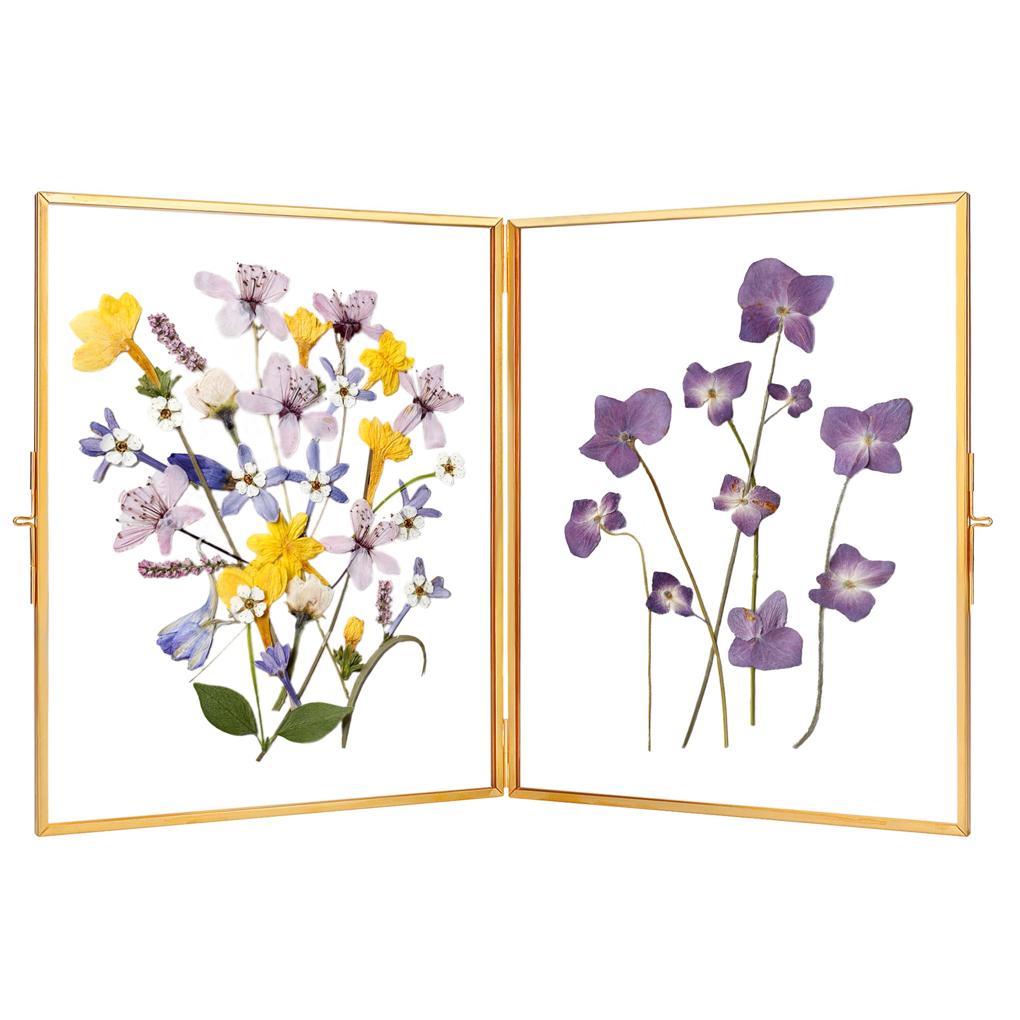 Glass Pressed Flower Frame Handmade, Hinged Double Press Flower Frame, Tabletop Brass Photo Frames, Rectangle Dried Flower Display Folding Frame for Home, Gold,8×10 Inches