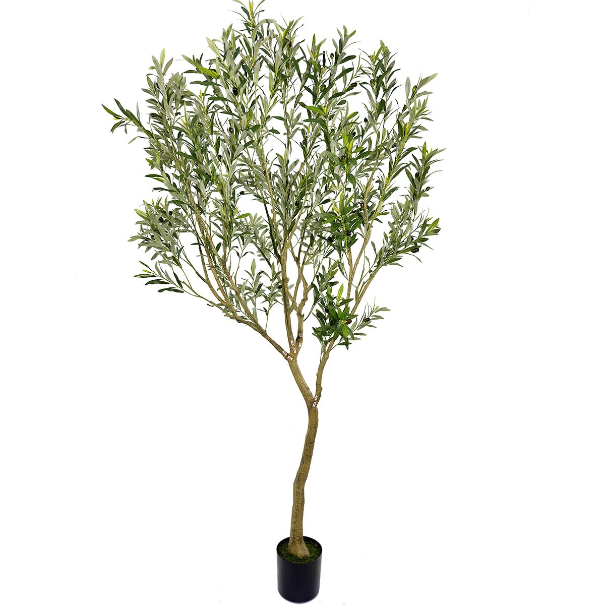 Rush Into These Late Night Deals!