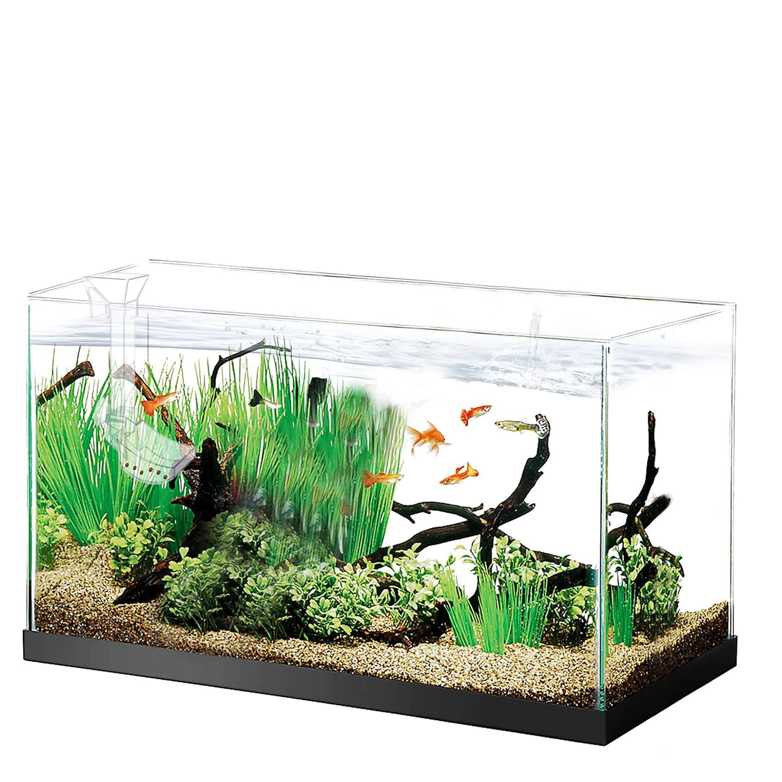 Aquarium Fish Shrimp Feeding Dish Set - Clear Feeder Tube and Dish With Cleaning Brush and Measuring Spoon for Shrimp - Prevents Food Scattering - Supplies for Small Fish 4