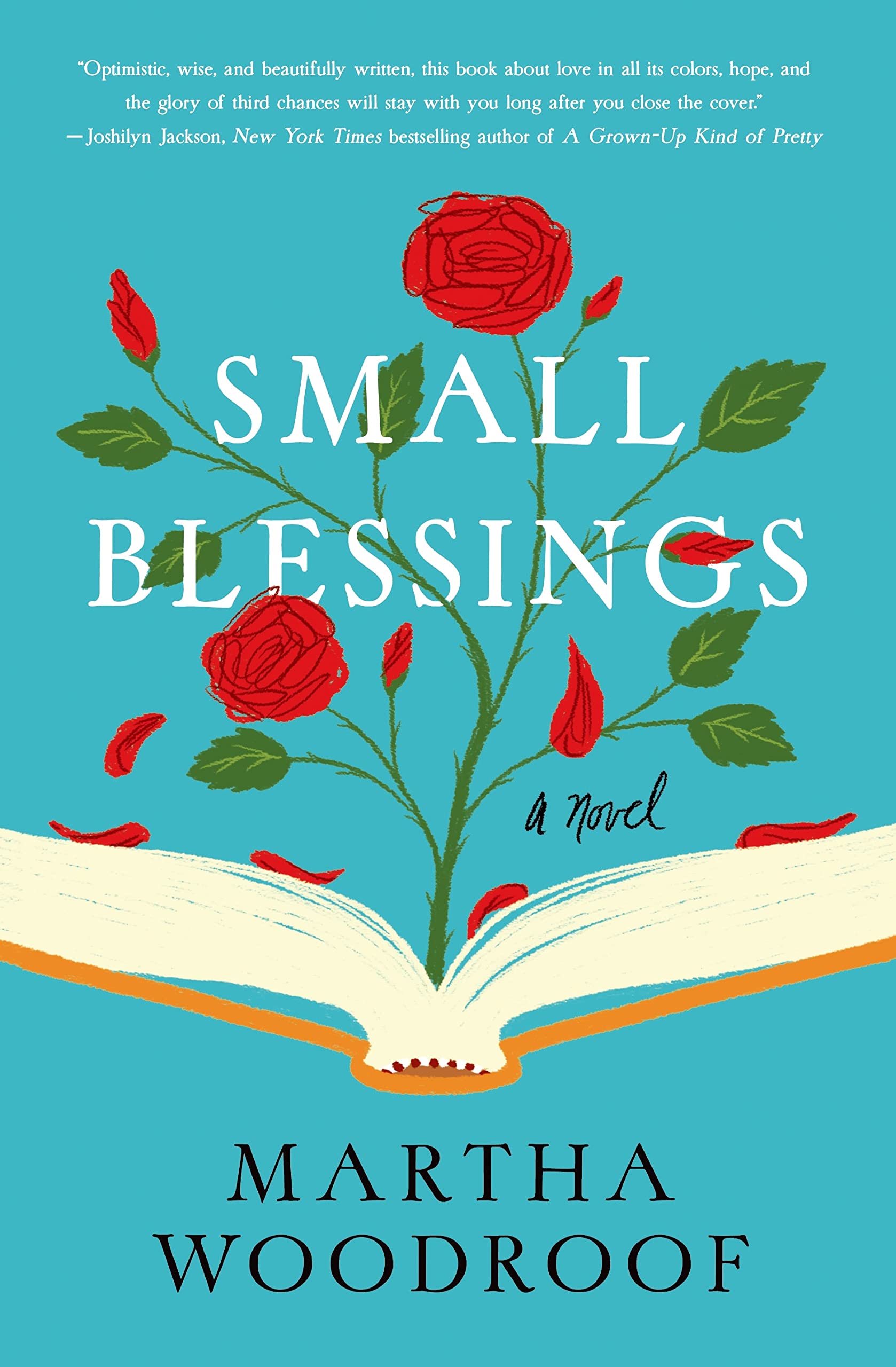 Small Blessings A Novel Martha Woodroof 9781250040527 Books