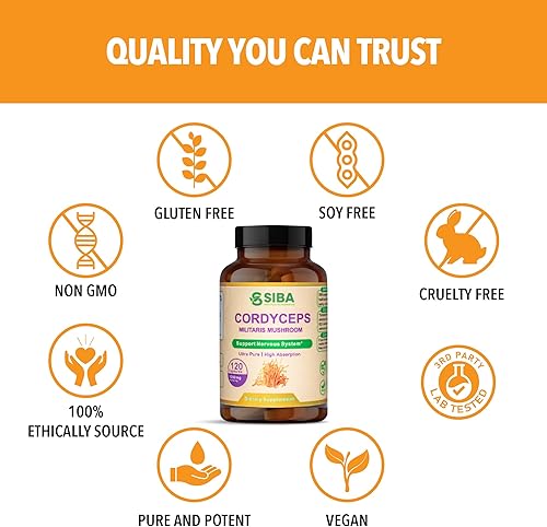 Miniatura 5 de SIBA Extracto de hongo Cordyceps ultra concentrado  100% cuerpos fructíferos, orgánico  Energía natural, vitalidad y resistencia  120 cápsulas