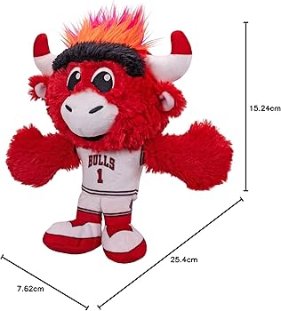 71CBrj-R5PL._AC_UF350,