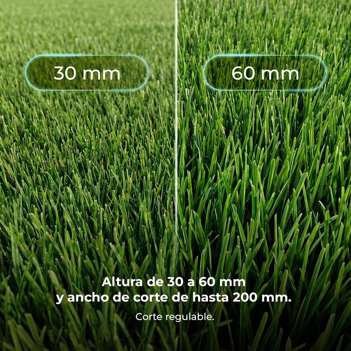 Cecotec Robot Cortacésped sin Cables - Reconocimiento de Objetos y Cámara Conga Grasshopper 800 ProAI. Autonomía hasta 800m², Corte Regulale Entre 30-60 mm, Control App, IPX5