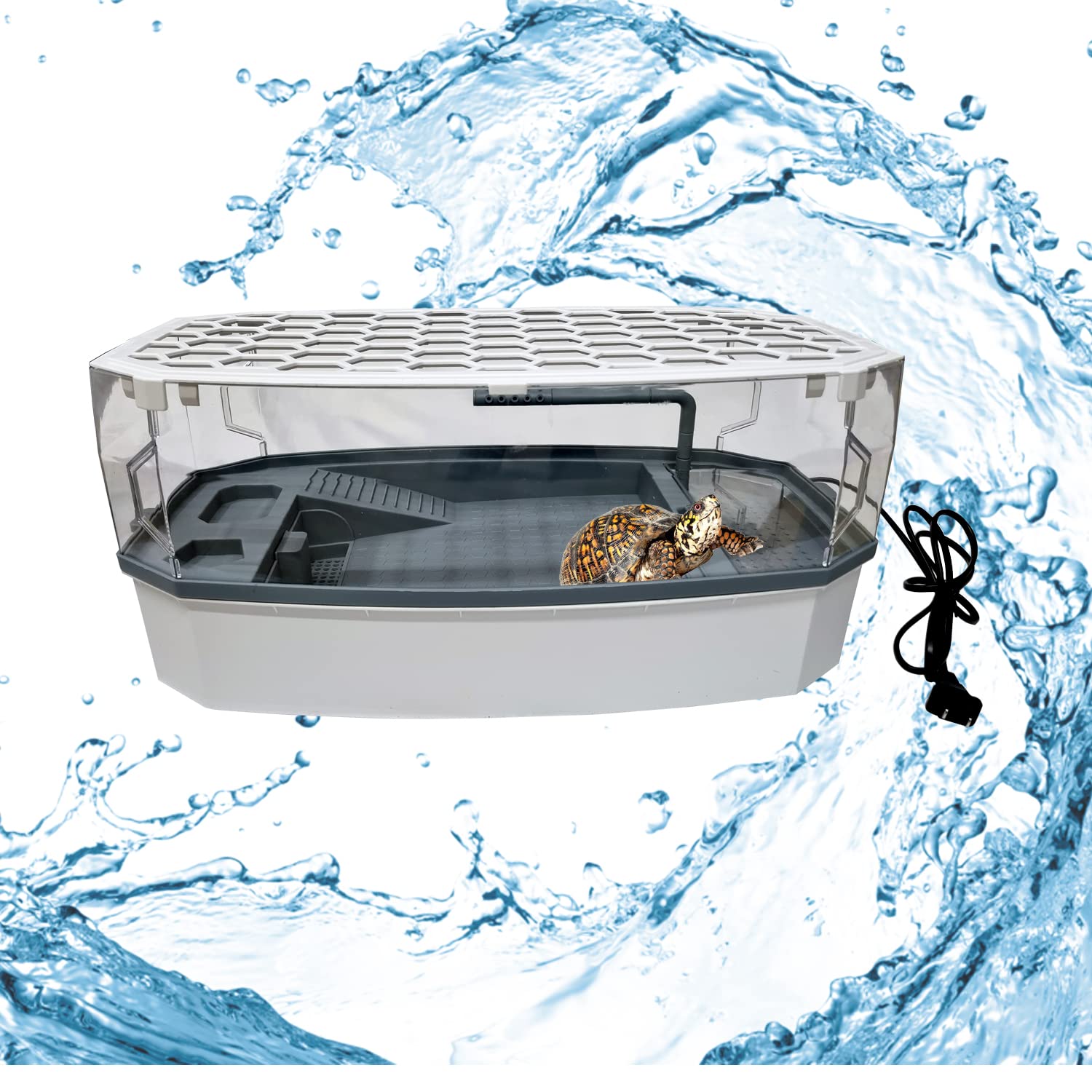 Buy Jainsons Pet Products Acrylic Turtle Tank Aquarium with Filter